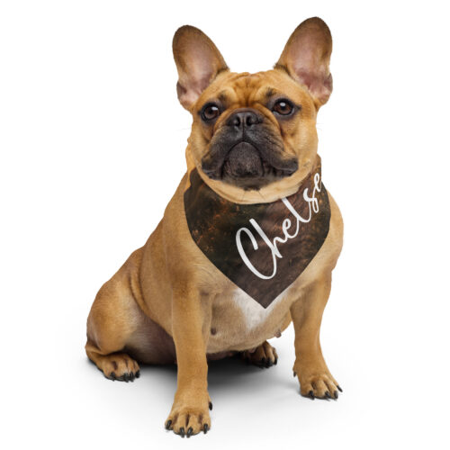 DECALVIBES Hunde Stoff Halsband Bandana mit Name und Bild Personalisierbar
